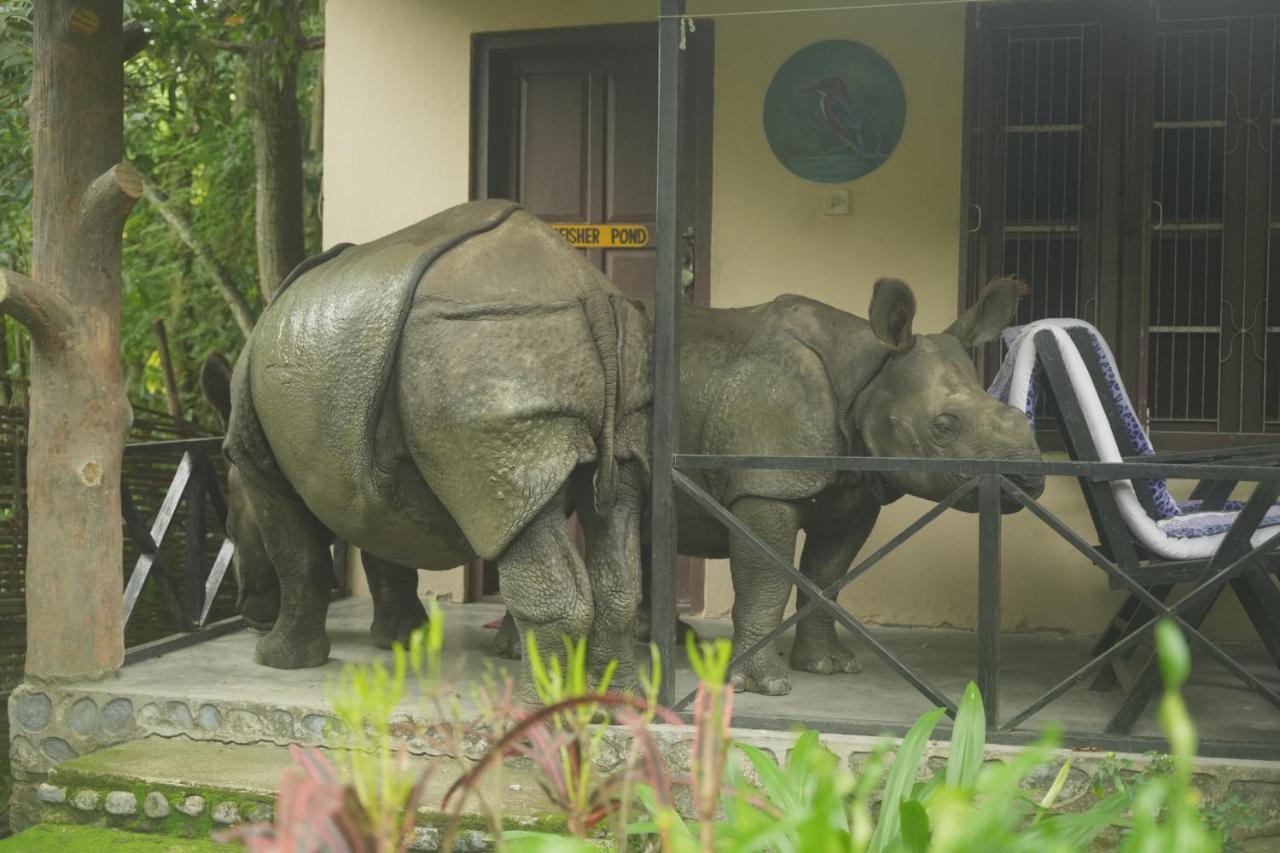 Chitwan Gaida Lodge - Animal Lovers & Birdwatchers Paradise Sauraha Exterior photo