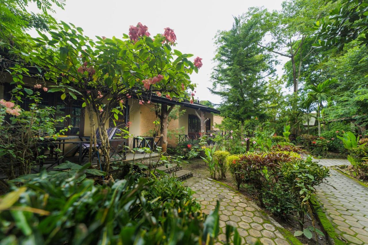 Chitwan Gaida Lodge - Animal Lovers & Birdwatchers Paradise Sauraha Exterior photo