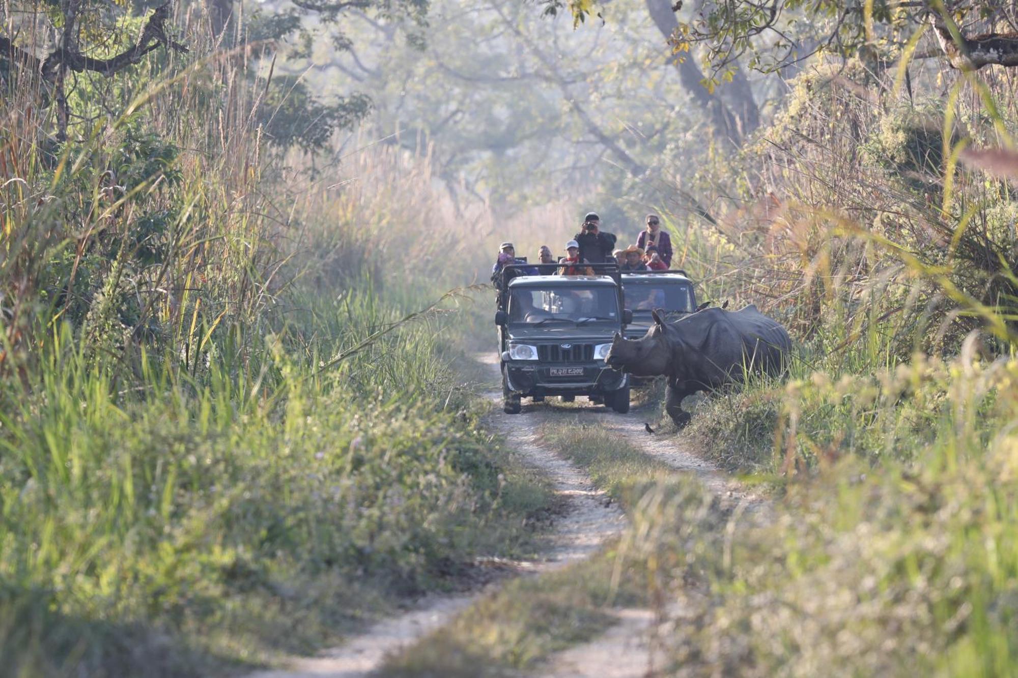 Chitwan Gaida Lodge - Animal Lovers & Birdwatchers Paradise Sauraha Exterior photo