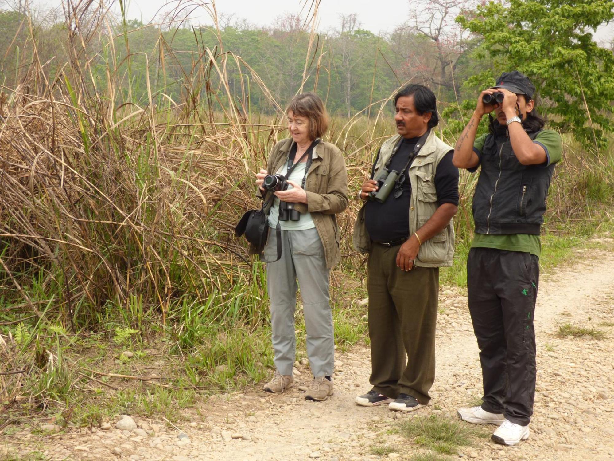Chitwan Gaida Lodge - Animal Lovers & Birdwatchers Paradise Sauraha Exterior photo