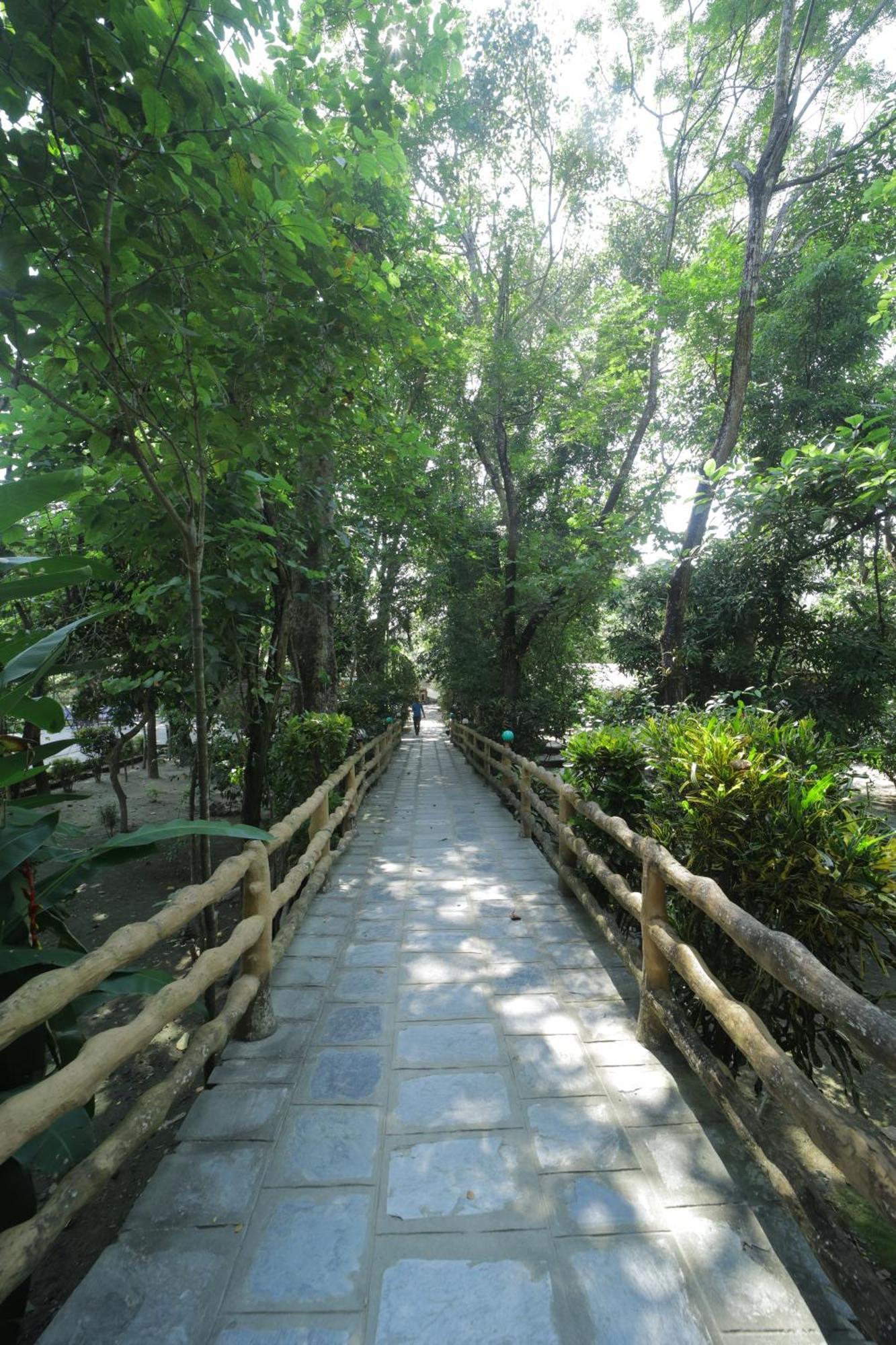 Chitwan Gaida Lodge - Animal Lovers & Birdwatchers Paradise Sauraha Exterior photo