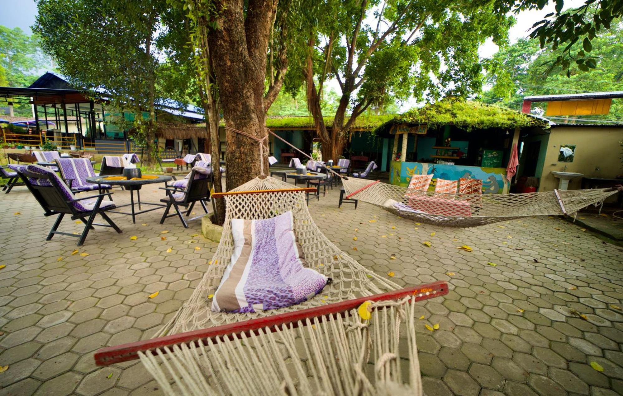 Chitwan Gaida Lodge - Animal Lovers & Birdwatchers Paradise Sauraha Exterior photo